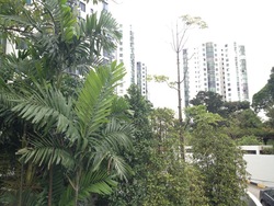 Parc Oasis (D22), Condominium #242302001